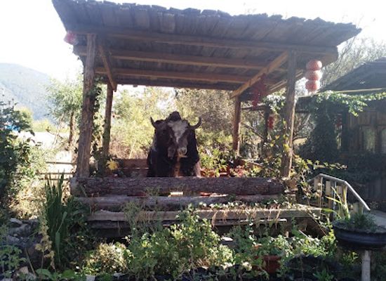 bhutan/paro-valley/restaurant/leezang-cafe-and-restaurant