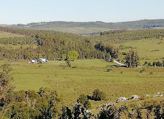 uruguay/sierra-de-minas/restaurant/sierra-de-minas