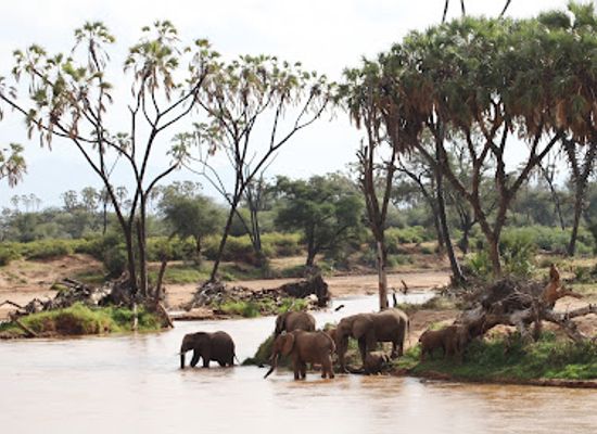kenya/samburu-national-reserve/restaurant/samburu-national-park
