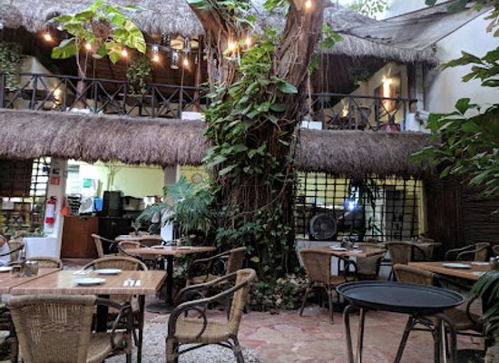mexico/cozumel/playa-del-carmen/restaurant/100-natural-playa-del-carmen