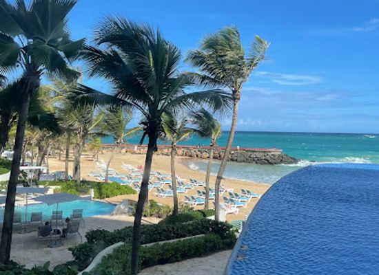 puerto-rico/mona-island/restaurant/the-loft-beach-front