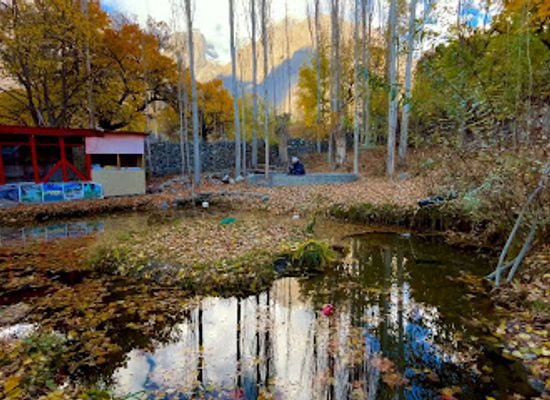 pakistan/baltistan/restaurant/kfc-fast-food-centre-restaurant