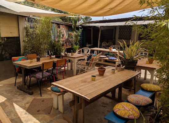 kenya/aberdare-range/restaurant/wasp-sprout