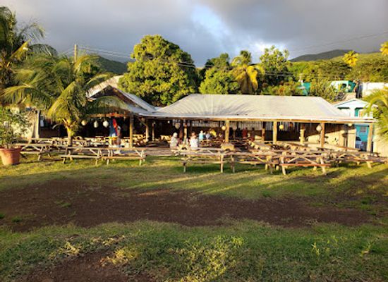 saint-kitts-and-nevis/mount-liamuiga/restaurant/sprat-net