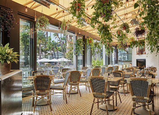 california/santa-monica/downtown-santa-monica/restaurant/fig-restaurant