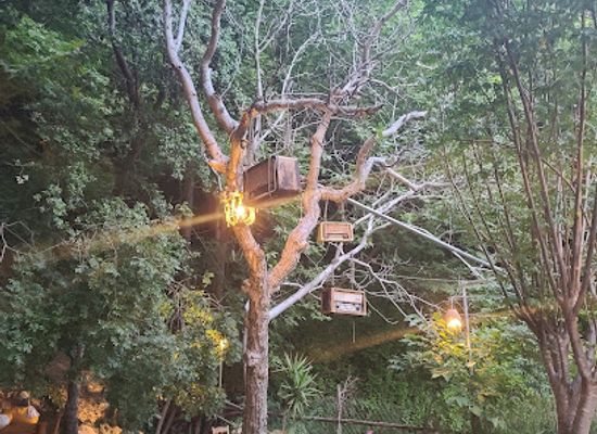 lebanon/hasbaya/restaurant/abwab-resto-cafe