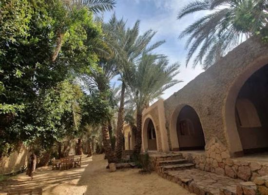 egypt/siwa-oasis/restaurant/restaurant-and-hotel-noor-al-wahe-siwa