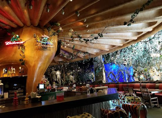 florida/sun-coast/restaurant/rainforest-cafe