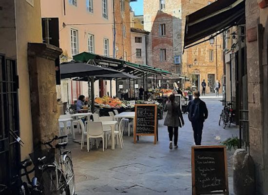 italy/pisa/restaurant/primo-pasta-street-food-pisa