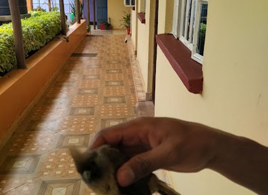 kenya/mount-kenya-region/restaurant/jovian-guest-house