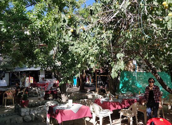 india/leh/restaurant/penguin-garden-restaurant