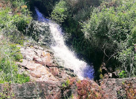 lebanon/metn/restaurant/restaurant-al-jannah