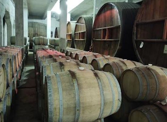 argentina/cuyo/restaurant/bodegas-san-huberto
