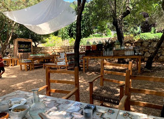lebanon/north-lebanon/restaurant/biomass-restaurant