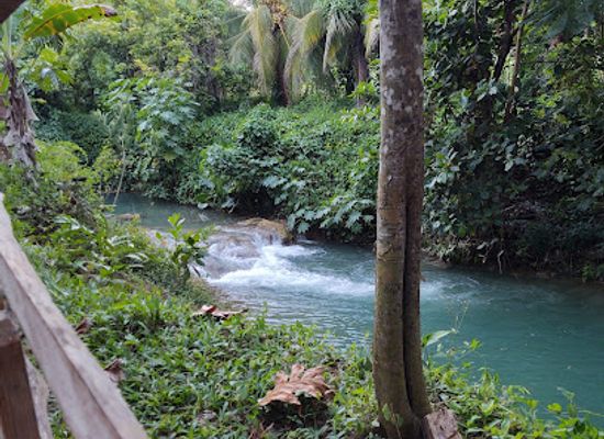 jamaica/portland-ridge/restaurant/pam-pam-riverside-ranch