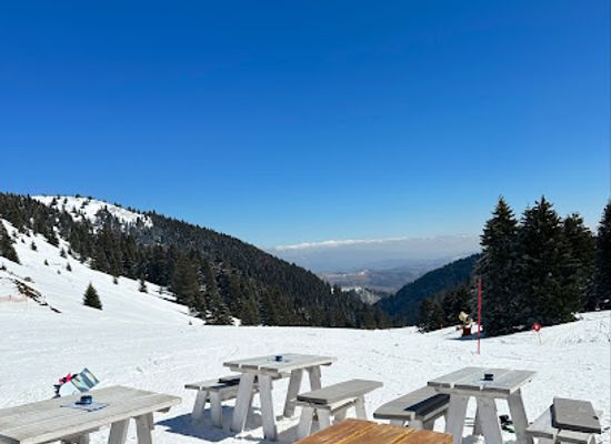 serbia/raska/restaurant/pajino-preslo