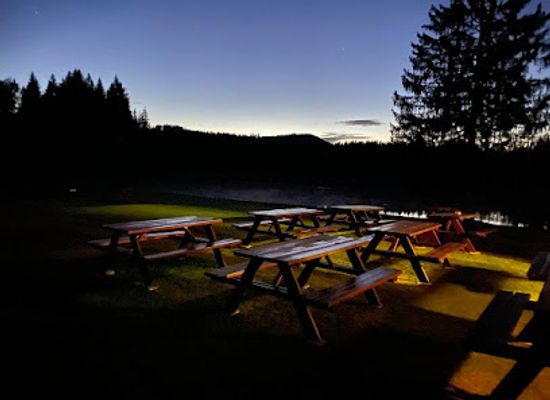 austria/waldviertel/restaurant/stierhublteich-buffet