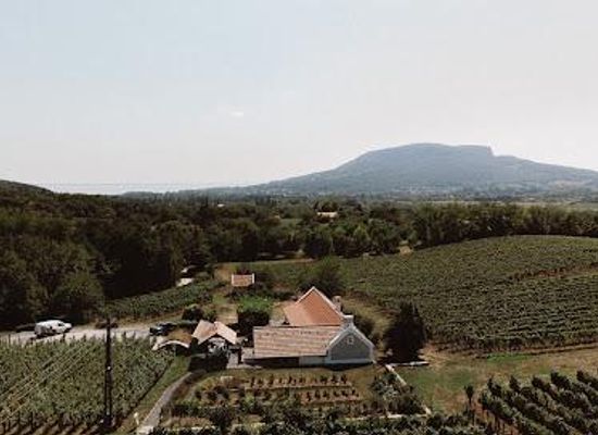hungary/veszprem/restaurant/vali-pinceszet