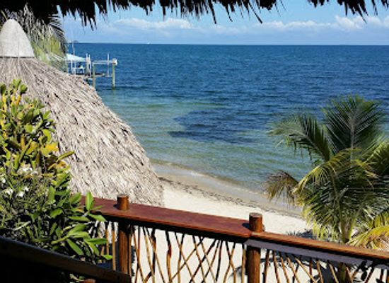 belize/maya-mountains/restaurant/mangos
