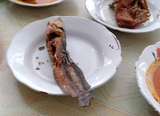indonesia/sumatra/restaurant/minang-rasa