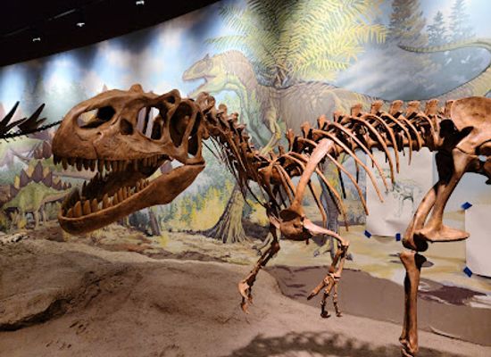 utah/uintah-basin/restaurant/utah-field-house-of-natural-history-state-park-museum