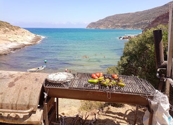 tunisia/the-cap-bon-peninsula/restaurant/la-crique-de-robinson