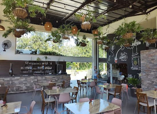 dominican-republic/los-haitises/restaurant/michi-restaurant-cafe