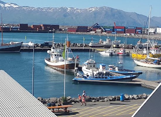 iceland/east-fjords/restaurant/naustio