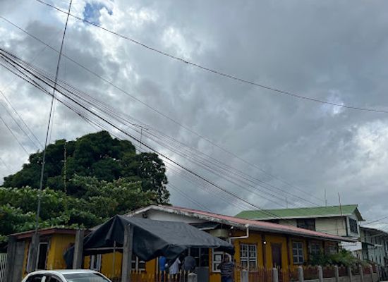 guyana/cuyuni-mazaruni/restaurant/the-cottage-restaurant-cafe