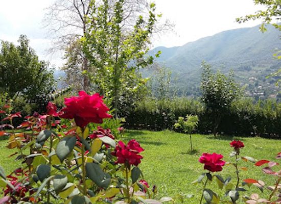 albania/tirana-plain/restaurant/marchesi-gourmet-restaurant