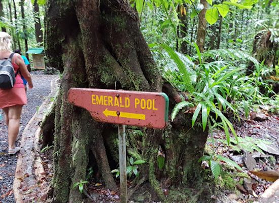 dominica/trafalgar-falls/restaurant/the-banana-leaf-restaurant