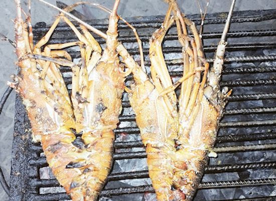 kenya/lamu/restaurant/bosnia-fast-foods