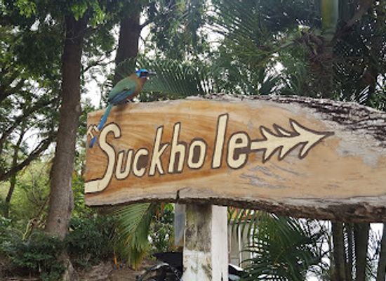 trinidad-and-tobago/argyle-waterfall/restaurant/the-suckhole