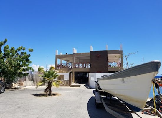 curacao/mambo-beach/restaurant/bigeye-scad