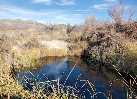 nevada/ash-meadows-national-wildlife-refuge/restaurant/ash-meadows-national-wildlife-refuge