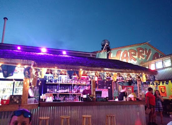 florida/st-george-island/restaurant/harry-a-s-bar-grill