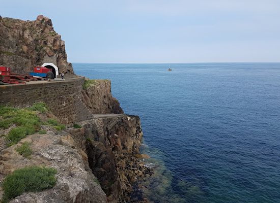 guernsey/sark/restaurant/harbour-cafe