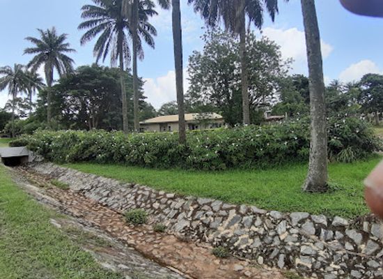 nigeria/south-west/restaurant/iita-cafetaria