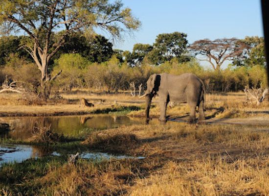 botswana/moremi-game-reserve/restaurant/moremi-game-reserve