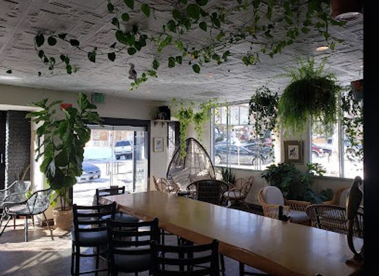 colorado/front-range/restaurant/jungle