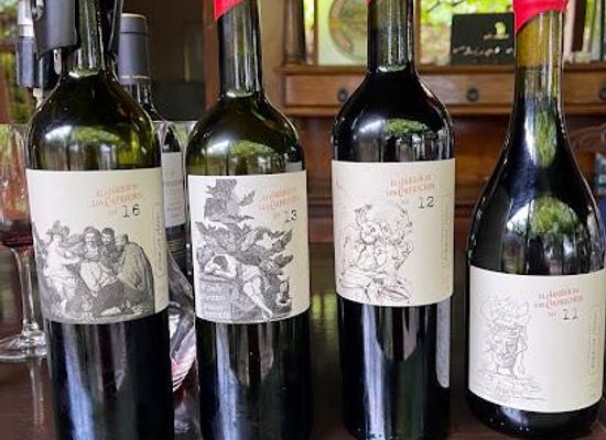 argentina/cuyo/restaurant/bodega-alandes
