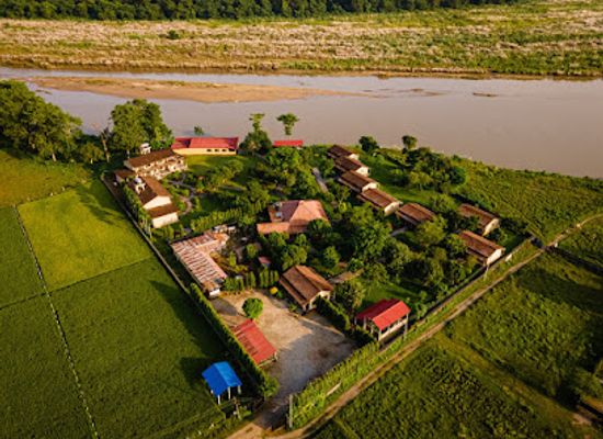 nepal/chitwan-national-park/restaurant/wild-adventure-resort