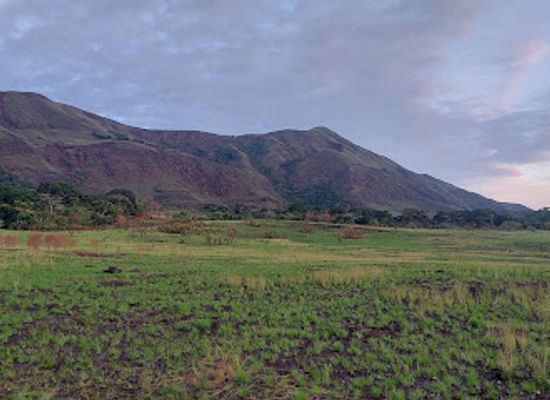 guinea/mount-nimba-strict-nature-reserve/restaurant/word
