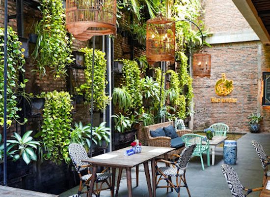 indonesia/jakarta/restaurant/blue-jasmine