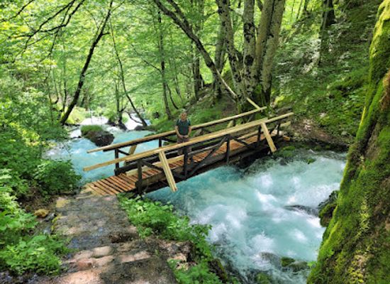 montenegro/durmitor-national-park/restaurant/restaurant-or-o