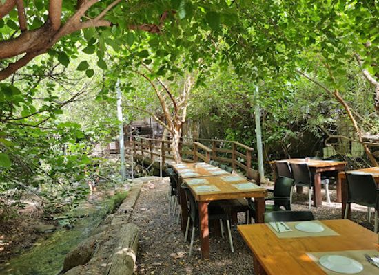 israel/galilee-region/restaurant/dag-al-dan