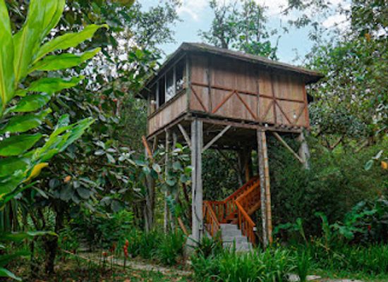 ecuador/mindo-cloud-forest/restaurant/hosteria-el-carmelo-de-mindo