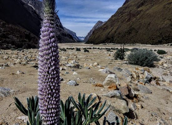 peru/santa-cruz-trek/restaurant/santa-cruz-trek-4-days-3-nights
