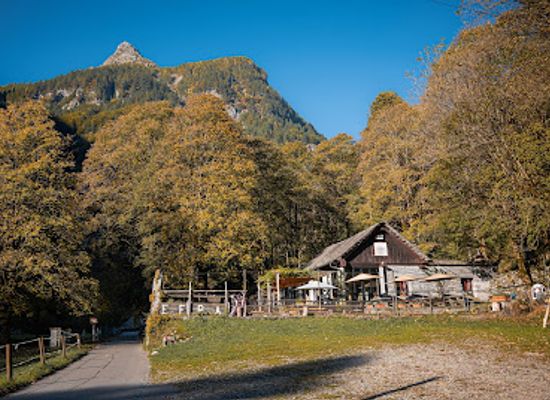 switzerland/ticino/restaurant/grotto-efra