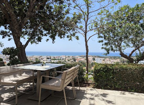 cyprus/paphos-forest/restaurant/muse